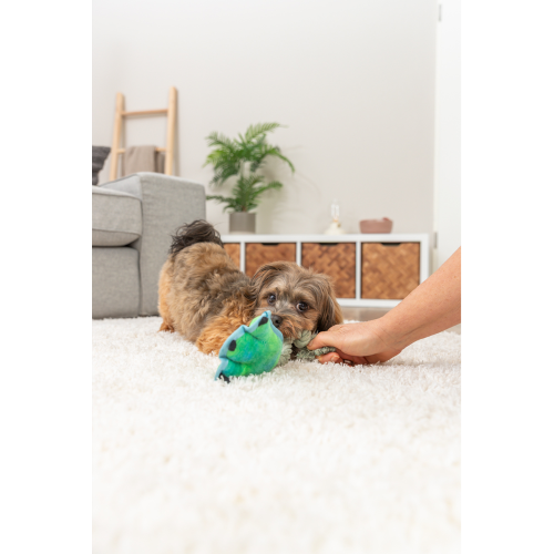 Dog Toy - Monster Paw with Rope Multi (22cm)