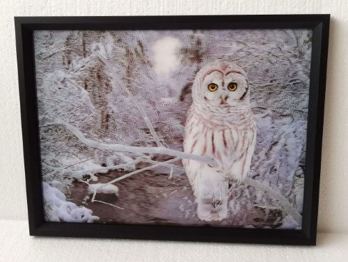 Wall Art - 3D Owl (30 x 40cm)