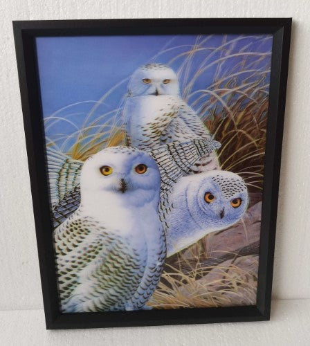 Wall Art - 3D Owl Parliament (30 x 40cm)