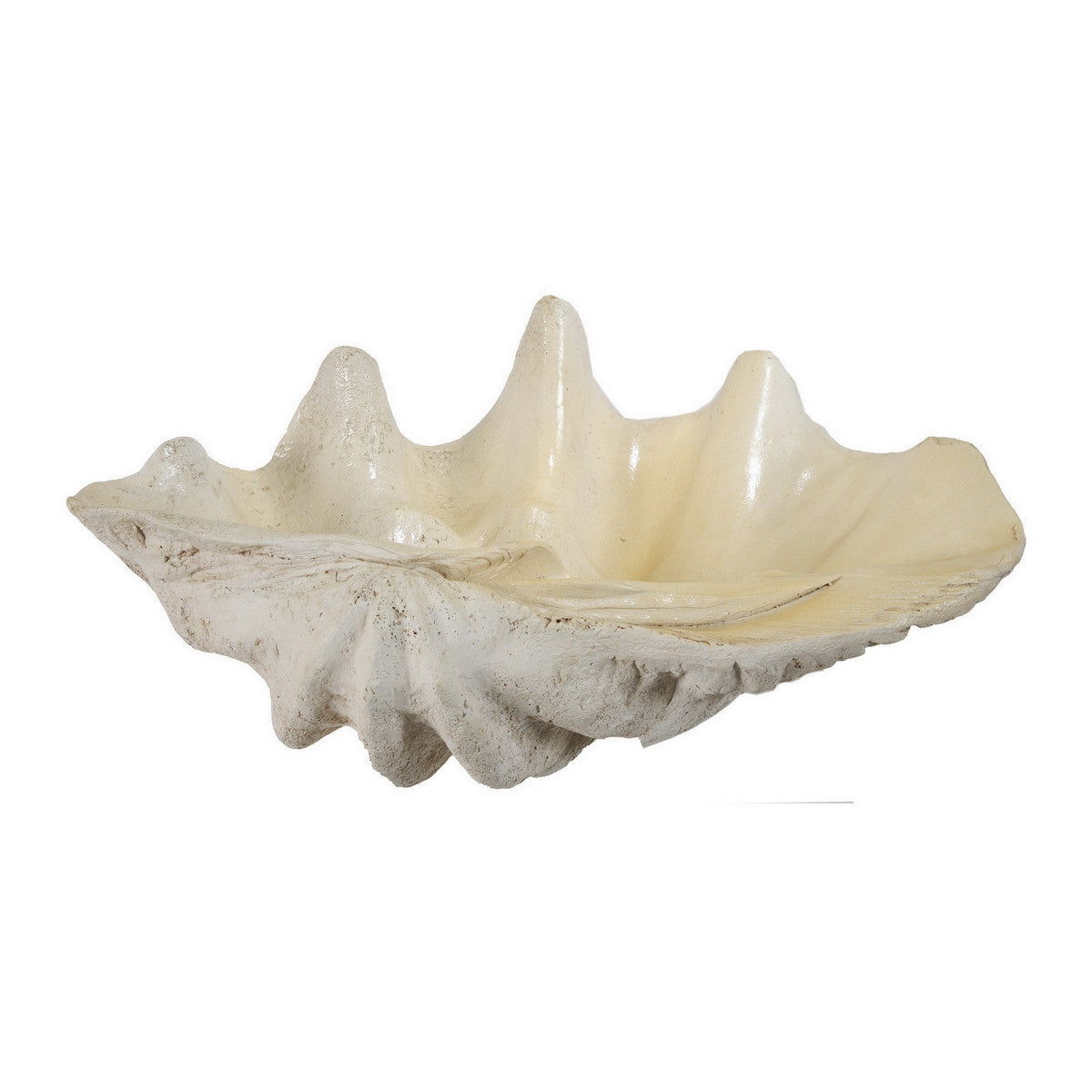 Ornament - LARGE SHELL (64.1cm)