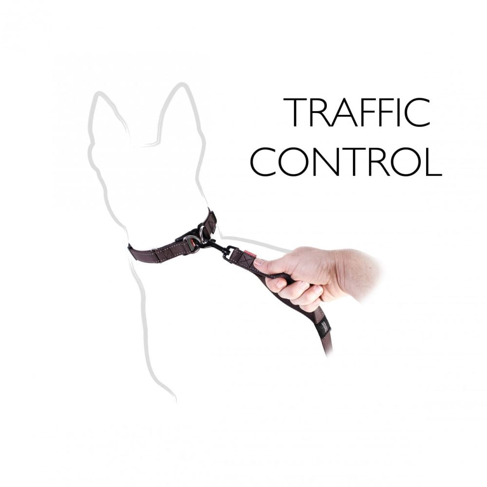 Dog Lead - Ezy Dog Zero Shock Leash - 120cm - Red