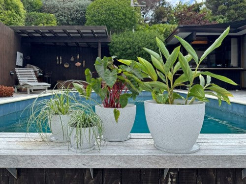 Pot - Nova Medium White 29 x 22cm (Set of 2)