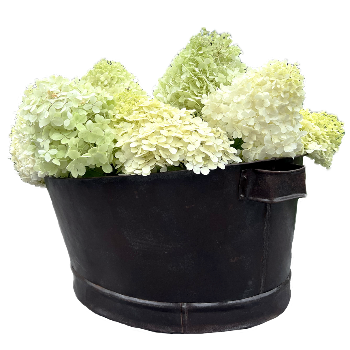 Vintage Party Bucket - Advika (65 x 54 x 25cm)