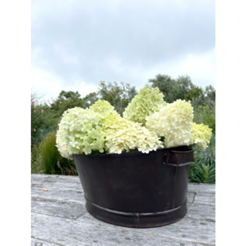 Vintage Party Bucket - Advika (65 x 54 x 25cm)