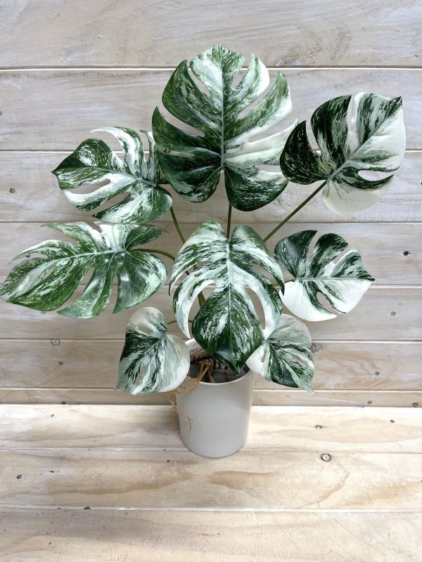 Artificial Monsteria Plant Bush (VARIGATE)
