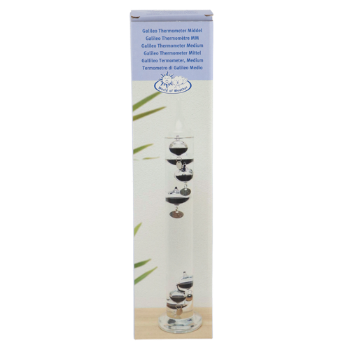 Thermometer - Galileo 40cm (Set of 2)