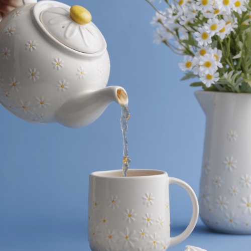 6 Cup Teapot - Price & Kensington Daisy Stoneware (1100ml)