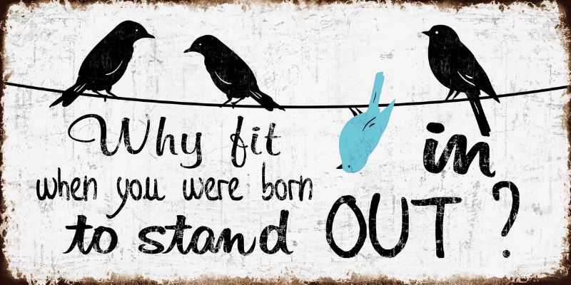 Wall Art on MDF - Why Fit In (20 x 60cm)