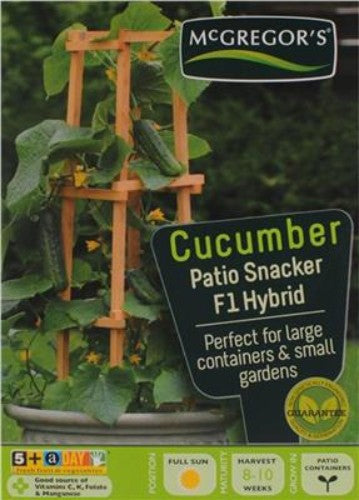 McGregor's Cucumber Patio Snacker Vegetable Seed - Pack of 5