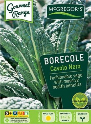 McGregor's Borecole Black Cavolo Nero Specialty - Pack of 5