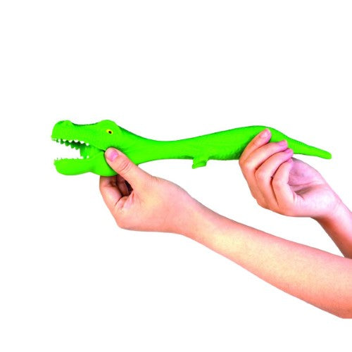 Pullie Pal - Stretch Dino (Set of 12 Assorted)