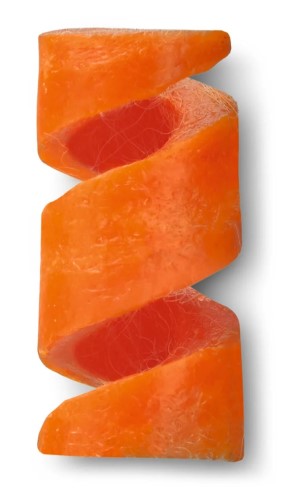 Mini Tool Fire Ant Set - VICTORINOX SAK