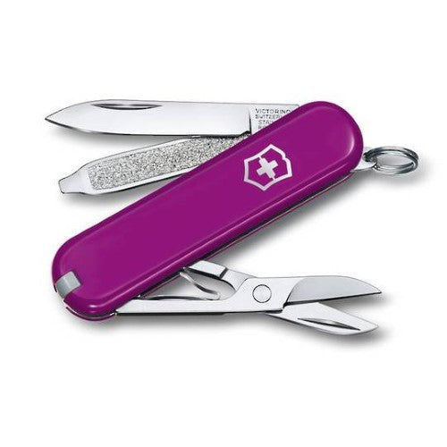 Swiss Pocket Knife - VICTORINOX SAK Classic SD (Tasty Grape)