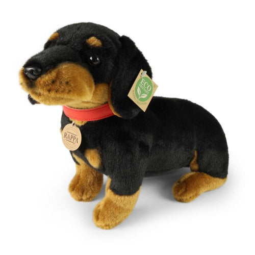 Rappa: Dachshund w/Collar (30cm)