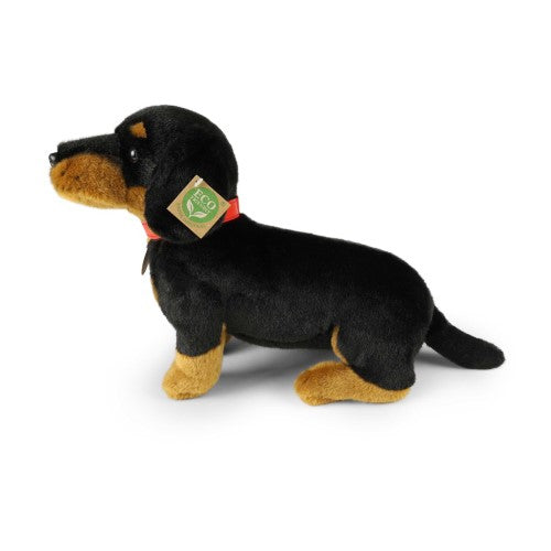 Rappa: Dachshund w/Collar (30cm)