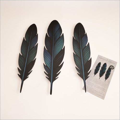 Kiwiana Wall Art - ACM Printed Tui Feathers Set