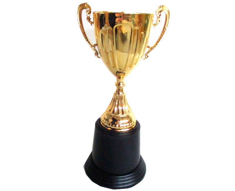 Trophy - 22 X 9cm (Set of 6)