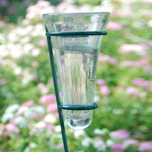 Rain Gauge - Glass 133cm (Set of 2)