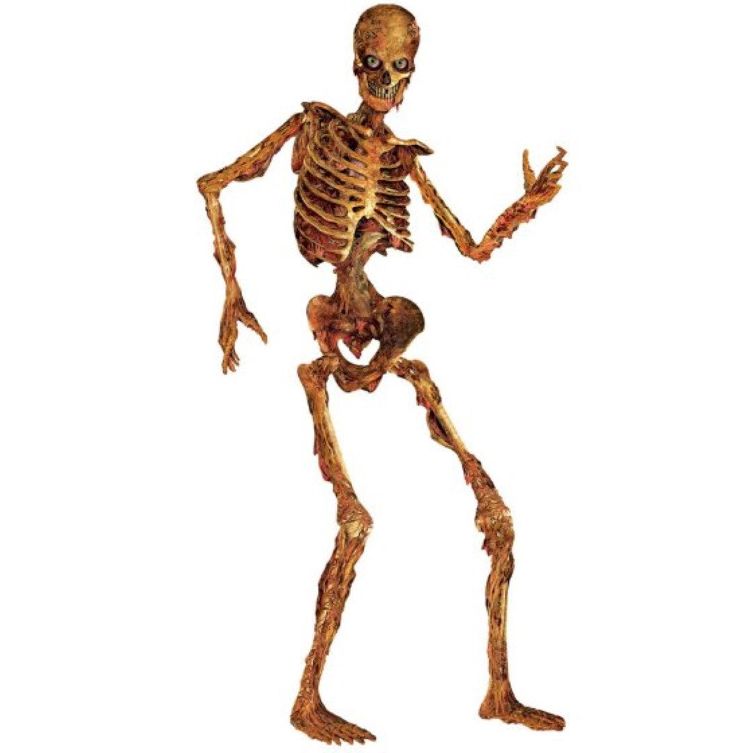 Jointed zombie skeleton, 180cm tall, perfect for spooky Halloween decor, featuring movable joints for versatile positioning.