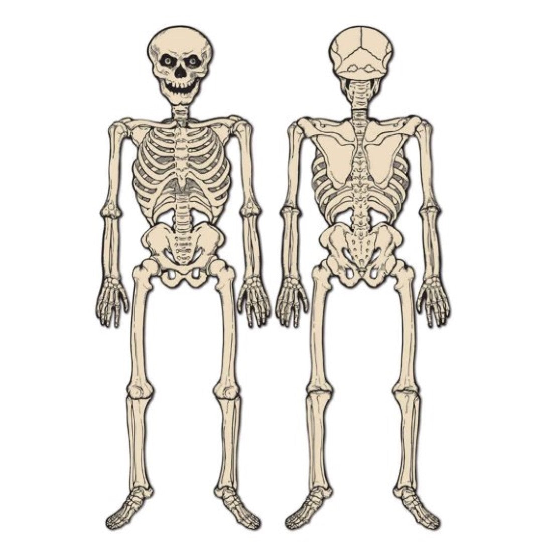Vintage 129cm jointed skeleton with movable limbs for spooky Halloween decor and festive celebrations.