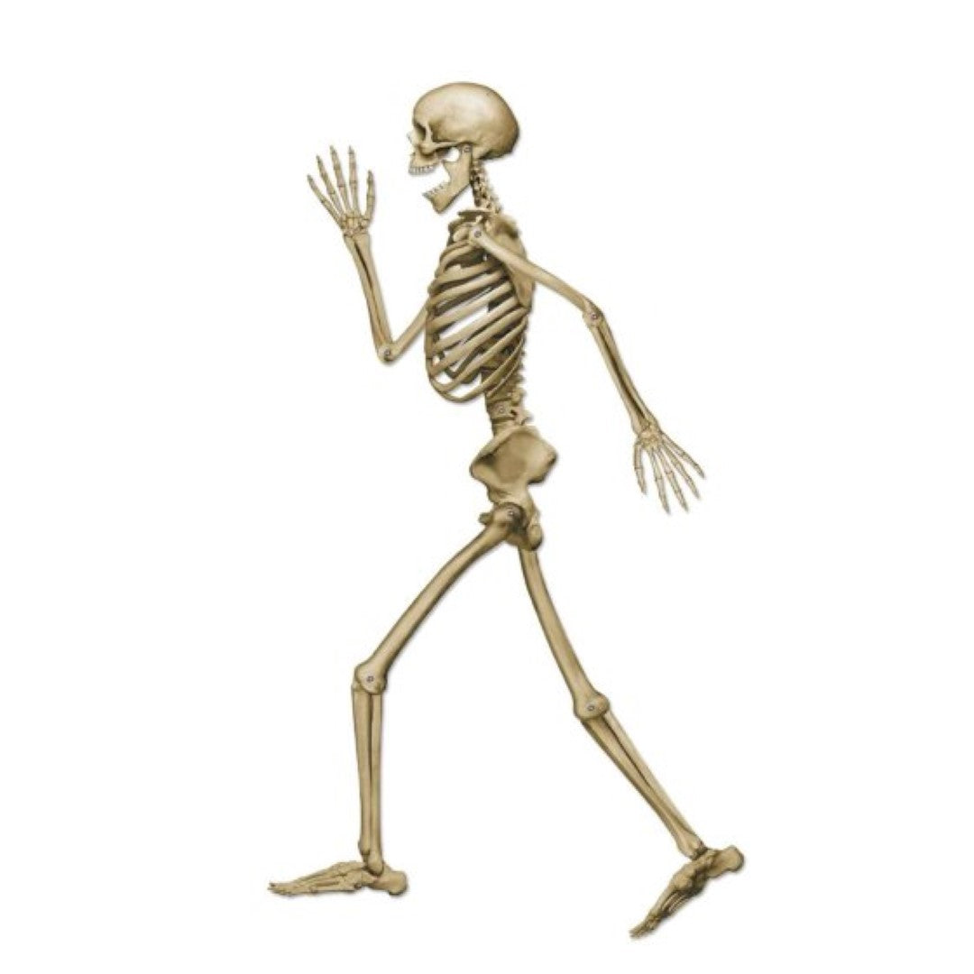 Beistle Profile Pete Jointed Skeleton, a 95cm tall spooky decoration with movable limbs for Halloween parties and decor.