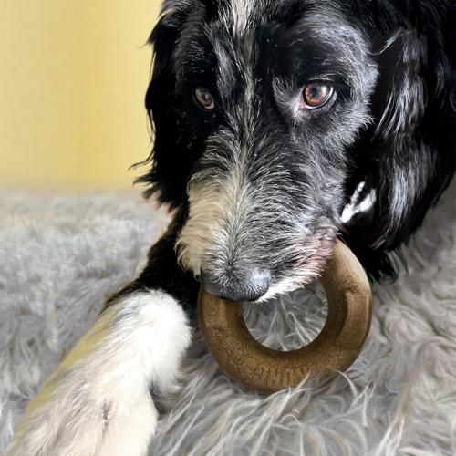 Dog Toy - KONG Bamboo Rockerz Ring XS/Small