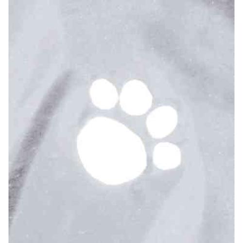 Dog Clothing - Tarbes Raincoat S: 34cm Transparent