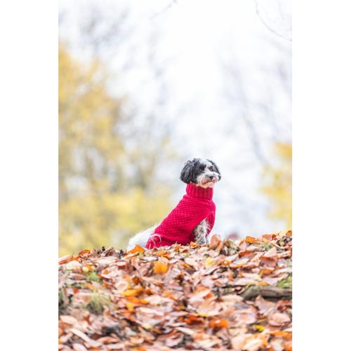 Dog Clothing - Norwood Pullover M: 45cm Red