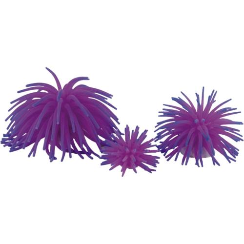 Aquatic Ornament - Anemone purple