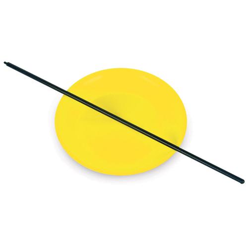 Spinning Plate & Stick