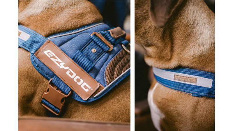 Dog Harness - ED Convert Large (Denim)