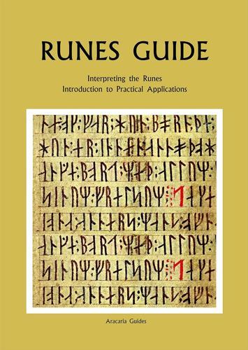 Aracaria Runes Guide
