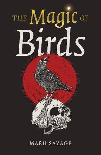 Magic of Birds