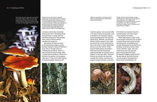 The Fascinating World of Fungi