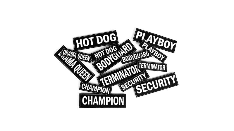 EzyDog Side Patch CV L BIG DOG