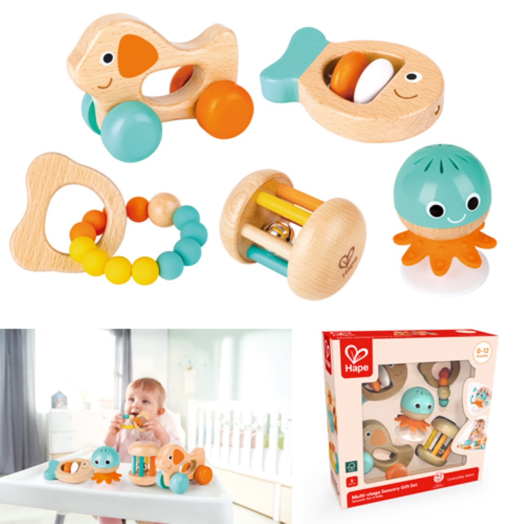 Sensory Gift Set - Hape Multi Stage