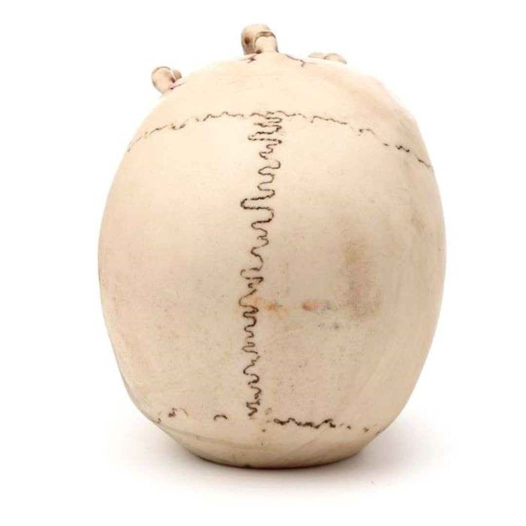 Ornament - Gruesome Skull Head with Skeleton Claw Hand (16cm)