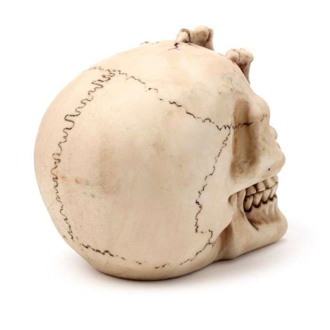 Ornament - Gruesome Skull Head with Skeleton Claw Hand (16cm)