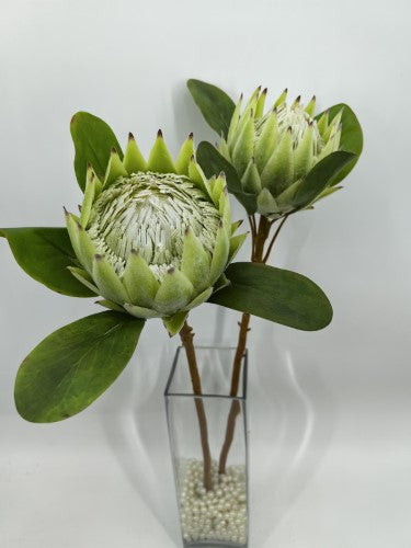 Artificial Large King Protea (Green)
