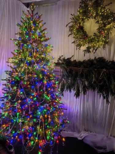 Mixed Juniper Pine Christmas Tree with 1500 LED Lights & 3913 Tips - 7.5'