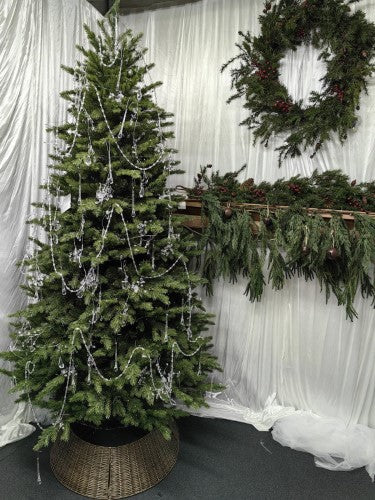 Mixed Juniper Pine Christmas Tree with 1500 LED Lights & 3913 Tips - 7.5'