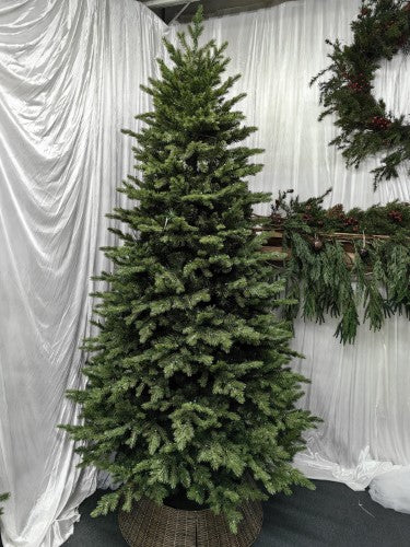 Mixed Juniper Pine Christmas Tree with 1500 LED Lights & 3913 Tips - 7.5'