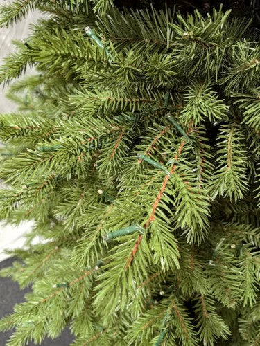 Mixed Juniper Pine Christmas Tree with 1500 LED Lights & 3913 Tips - 7.5'