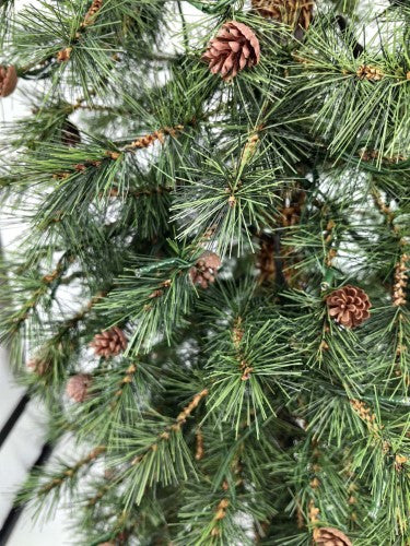 Needle Pine Christmas Tree = & 160 Multi Function LED Lights & 316 Tips - 5'
