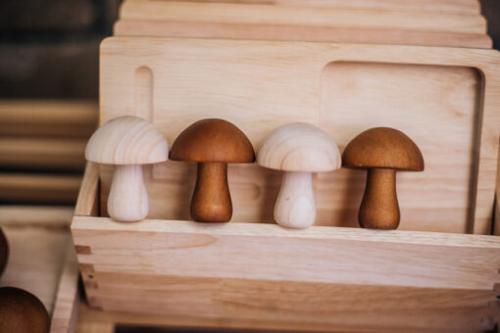 Mushroom set of 10