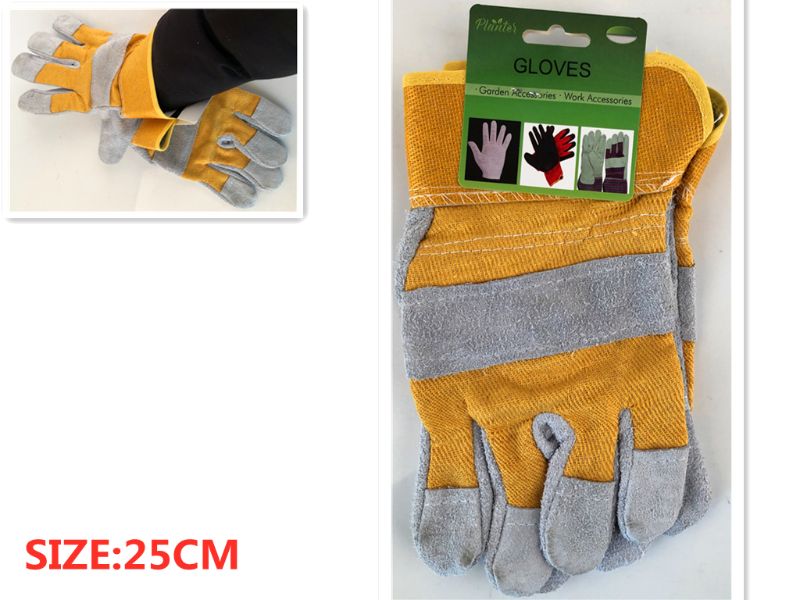 GLOVES - 25CM (6 Pairs)