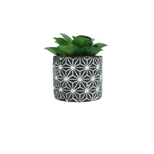 Botanicals Collection Artificial Succulent Plant In Pot