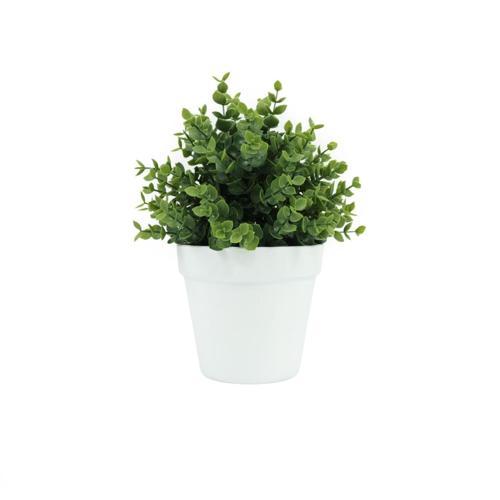 Botanicals Collection Artificial Eucalyptus Plant In Pot 12.5cm