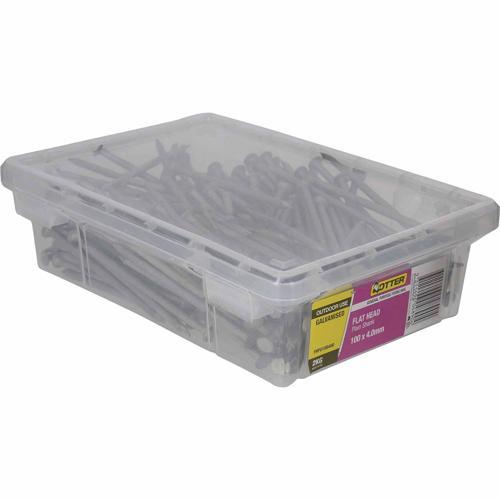 Otter Flat Head Nails 100 X 4.0mm 2kg Galvanised