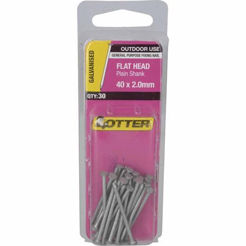 Otter Flat Head Nails 40 X 2.0mm Galvanised Pack of 30